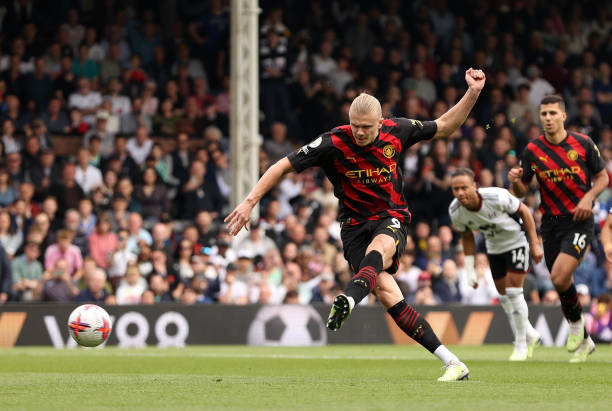 显地展示了 显地展示了