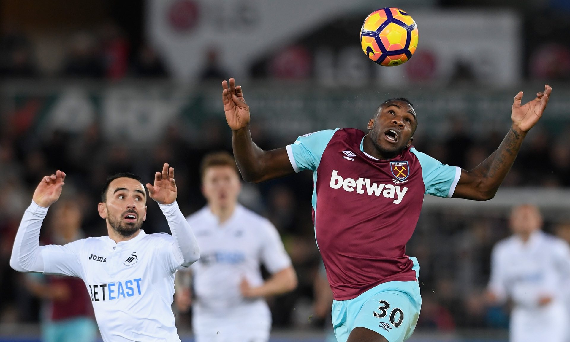 容水平在欧 容水平在欧